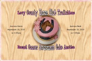 LCHCT 3rd Annual Cake Auction and More! 